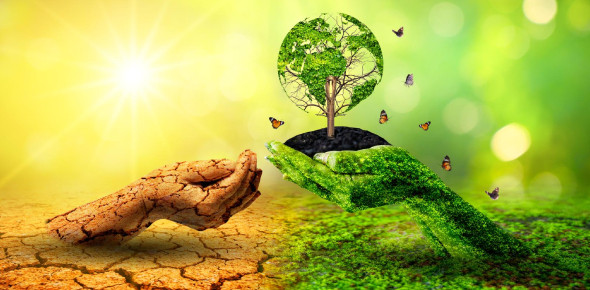 Quiz How Much Do You Know About Global Warming ProProfs Quiz